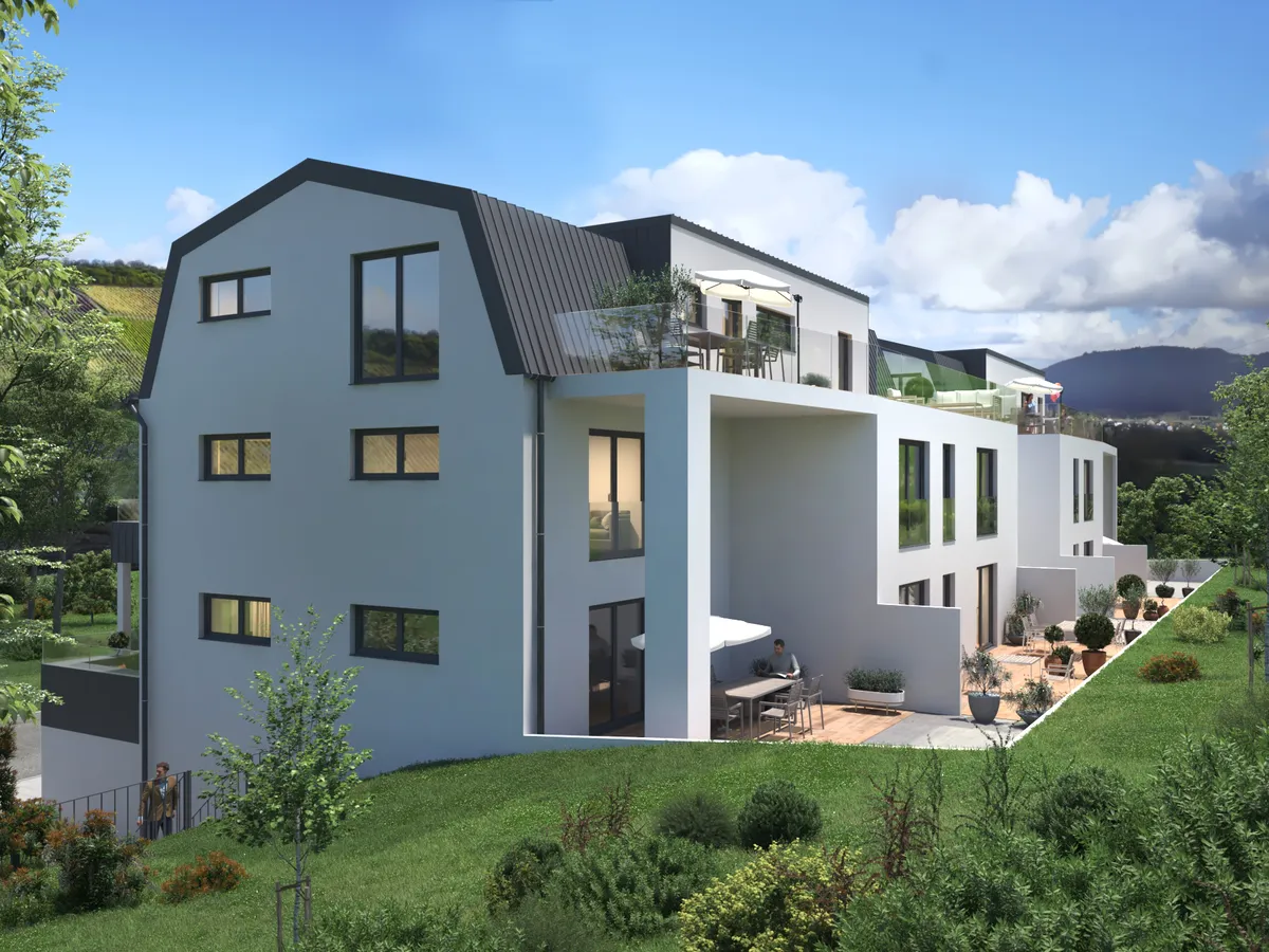 Visualisierung der Ayler Twins mit Mansarddach und Dachterrassen, Gartenseite